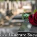 Funerare complete non-stop Bucuresti